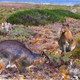 Image for article titled Giant bunnies reigned over the Mediterranean island of Minorca 3 million years ago